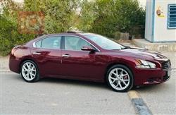 نيسان ماكسيما